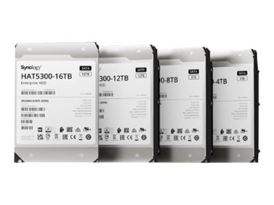 Synology HAT5300