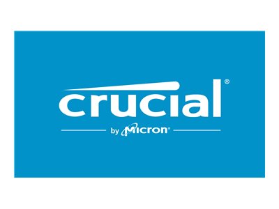 Crucial Pro - DDR5 - kit - 32 GB: 2 x 16 GB - DIMM 288-pin - 3000 MHz / PC5-48000 - unbuffered